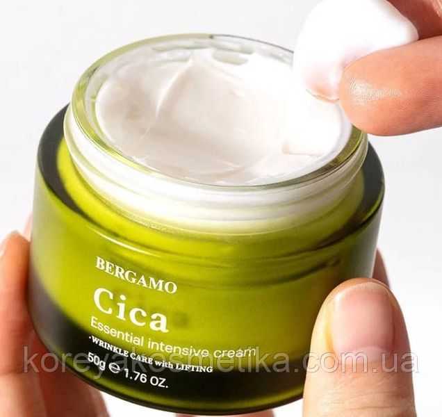 Bergamo Cica Essential Intensive Cream Відновлювальний крем для обличчя з екстрактом центели азійської 1756568647 фото